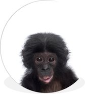 Cercle mural animaux - Cercle mural - Singe - Chimpanzé - Animaux - Enfants - Décoration murale garçons - Décoration murale filles - 90x90 cm - Plastique