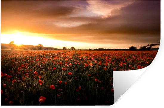 Muurstickers - Sticker Folie - Zonsondergang over de Klaprozen in Engeland - 30x20 cm - Plakfolie - Muurstickers Kinderkamer - Zelfklevend Behang - Zelfklevend behangpapier - Stickerfolie
