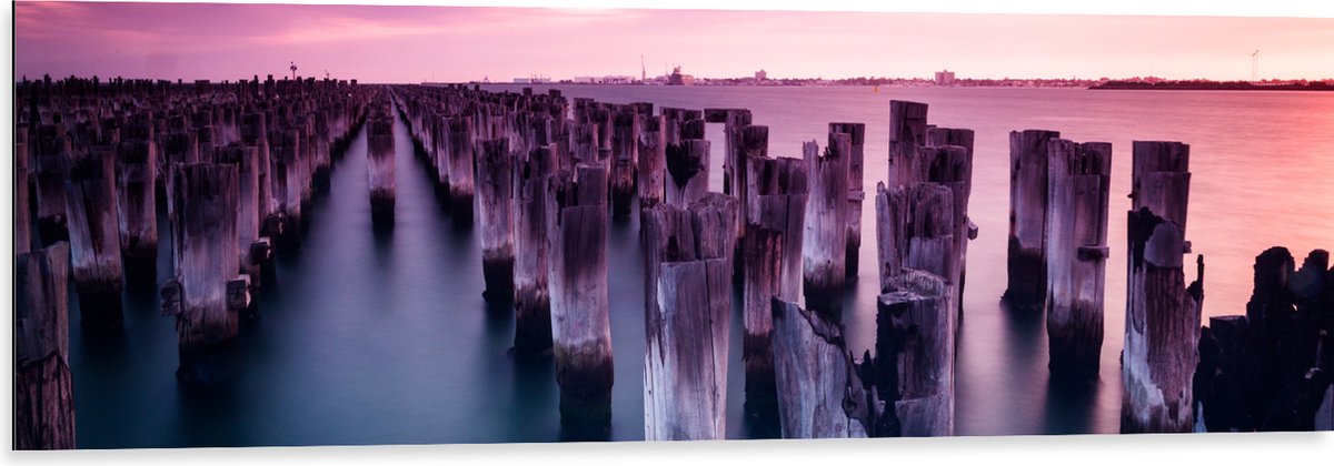Dibond - Palen - Water - Hout - Zee - Kleuren - 120x40 cm Foto op Aluminium (Met Ophangsys
