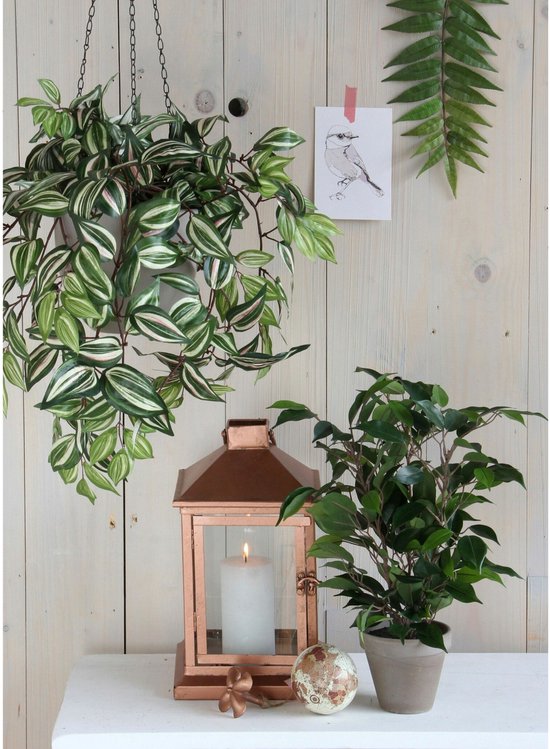 Een Ficus Natsja kunstplant en een hangplant met groen-witte bladeren naast een koperen lantaarn.