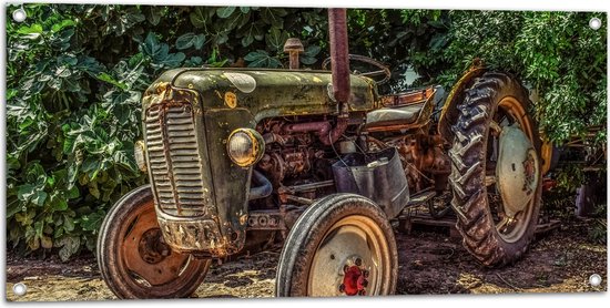 Tuinposter – Oude Verroeste Tractor bij Donkergroene Struik - 100x50 cm Foto op Tuinposter (wanddecoratie voor buiten en binnen)