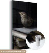 MuchoWow® Glasschilderij 80x120 cm - Schilderij acrylglas - Vogel - Boeken - Portret - Foto op glas - Schilderijen
