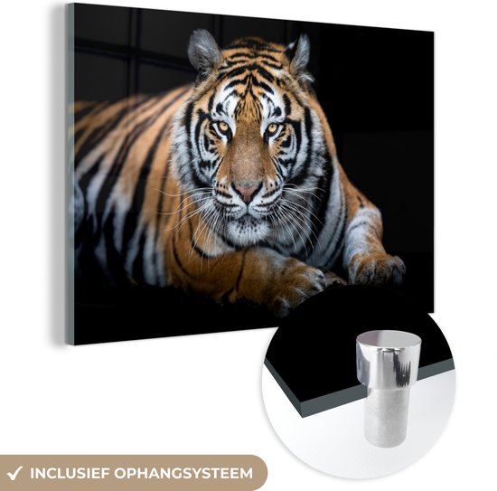 MuchoWow® Peinture sur verre - Portrait - Tigre - Zwart - 120x80 cm - Peintures sur verre acrylique - Photo sur Glas