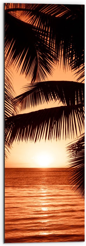 Dibond - Bomen - Palmbomen - Zee - Zonsondergang - Oranje - 30x90 cm Foto op Aluminium (Met Ophangsysteem)