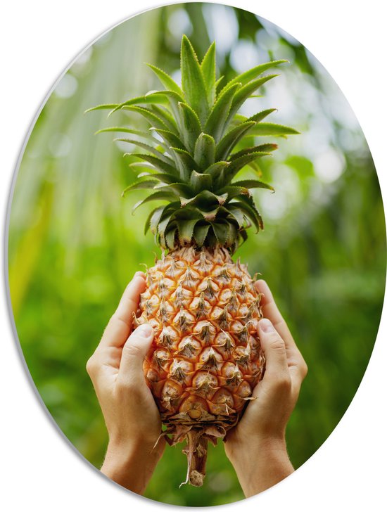 PVC Schuimplaat Ovaal - Verse tropische Ananas in Mensenhanden - 42x56 cm Foto op Ovaal (Met Ophangsysteem)