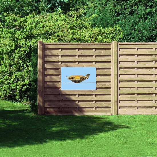 Tuinposter – Schildpad Liggend op Rug tegen Lichtblauwe Achtergrond - 90x60 cm Foto op Tuinposter (wanddecoratie voor buiten en binnen)