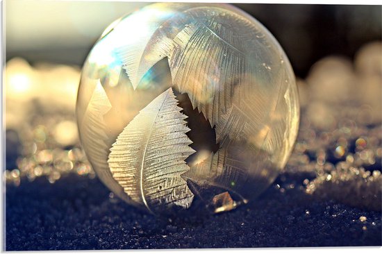 Acrylglas - Bol - Glas - Bladeren - Steentjes - Kleuren - 60x40 cm Foto op Acrylglas (Met Ophangsysteem)