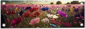 Tuinposter – Schapenwolken boven Veld Vol met Bloemen in Verschillende Kleuren - 60x20 cm Foto op Tuinposter (wanddecoratie voor buiten en binnen)