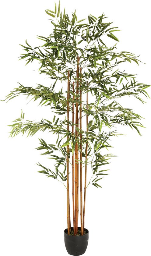 Kunstplant Bamboe H185 cm