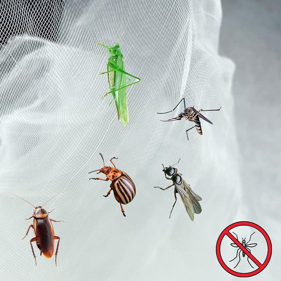 Filet de protection contre les insectes pour plantes potagères de