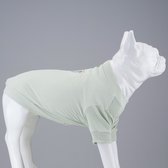 Lindo Dogs - Chemise pour chien - Vêtements pour chiens - T-shirt pour chiens - Mon gâteau aux raisins secs - Vert - Taille 1