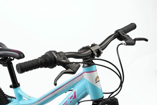 Bikestar kinderfiets MTB 7speed 20inch turquoise/wit - Bikestar