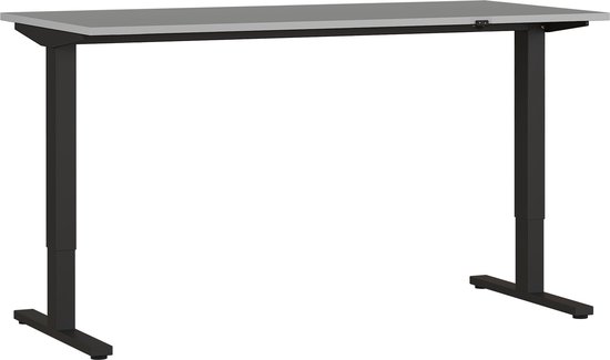 Elektrisch Bureau Ergonoma Grijs Zwart - 160x80cm - Hoogte 73 cm - In hoogte verstelbaar