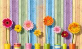 Fotobehang - Vlies Behang - Kleurrijke Bloemen in Vazen op Gekleurde Houten Planken - 416 x 290 cm