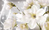 Fotobehang - Vlies Behang - Magnolia Bloem - Magnolia's - Wit - 416 x 254 cm
