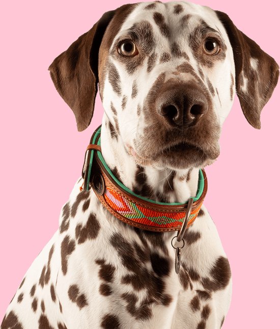 Dogguo Nylon Smiley Collar - Hondenhalsband - Magenta Oranje Lila 42-68
