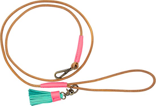 DWAM Dushi Hondenriem