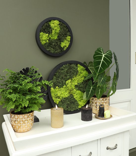 Comforder Moss Painting - Mur de Mousse de Renne - Décoration murale Sans Entretien - Rond Ø38cm