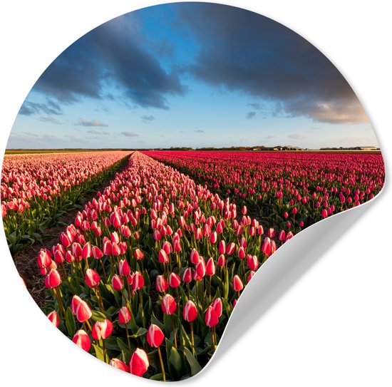 WallCircle® - Behangcirkel 80x80 cm - Muurstickers Kleurrijke tulpen in Nederlands landschap - Muurcirkel woonkamer - Wandcirkel slaapkamer - Kamer decoratie zelfklevend - Muurdecoratie accessoires