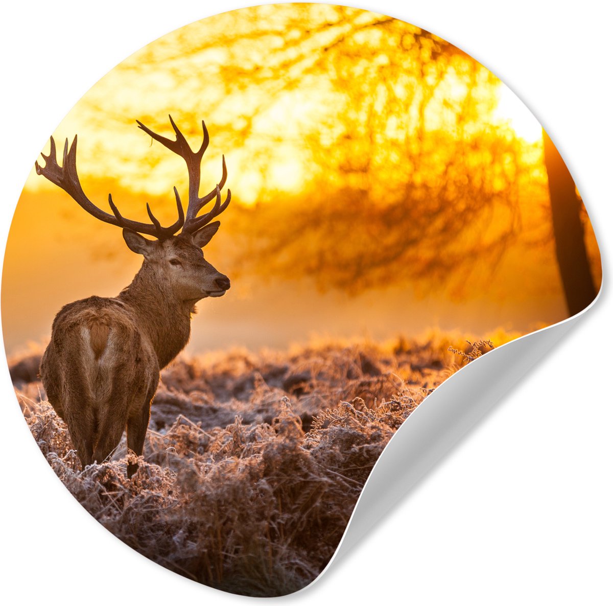 WallCircle Behangcirkel - Zelfklevend behang - Hert - Zonsondergang - Bosdieren - Winter - 100x100 cm - Woondecoratie - Behangsticker Oranje
