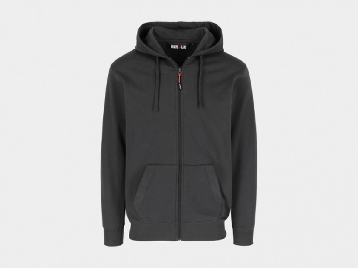 Herock TOBIN Sweater met kap Grijs