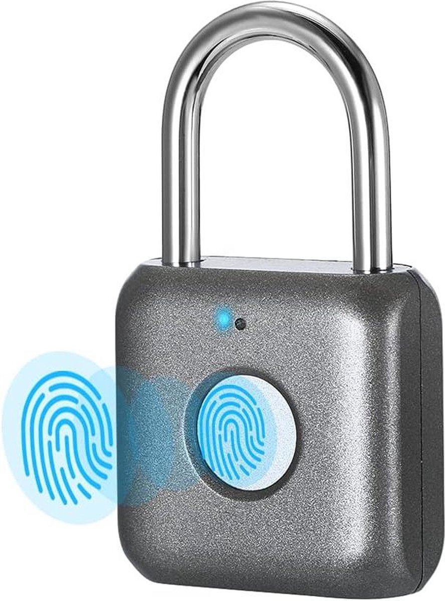 Klein vingerafdrukhangslot - biometrisch sleutelloos slot voor kluis - grijs