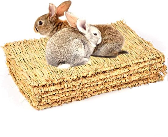 Grasmatten voor Kleine Dieren, 2 Stuks, Kauwspeelgoed voor Konijnen, Hamsters, Cavia's en Andere Kleine Dieren