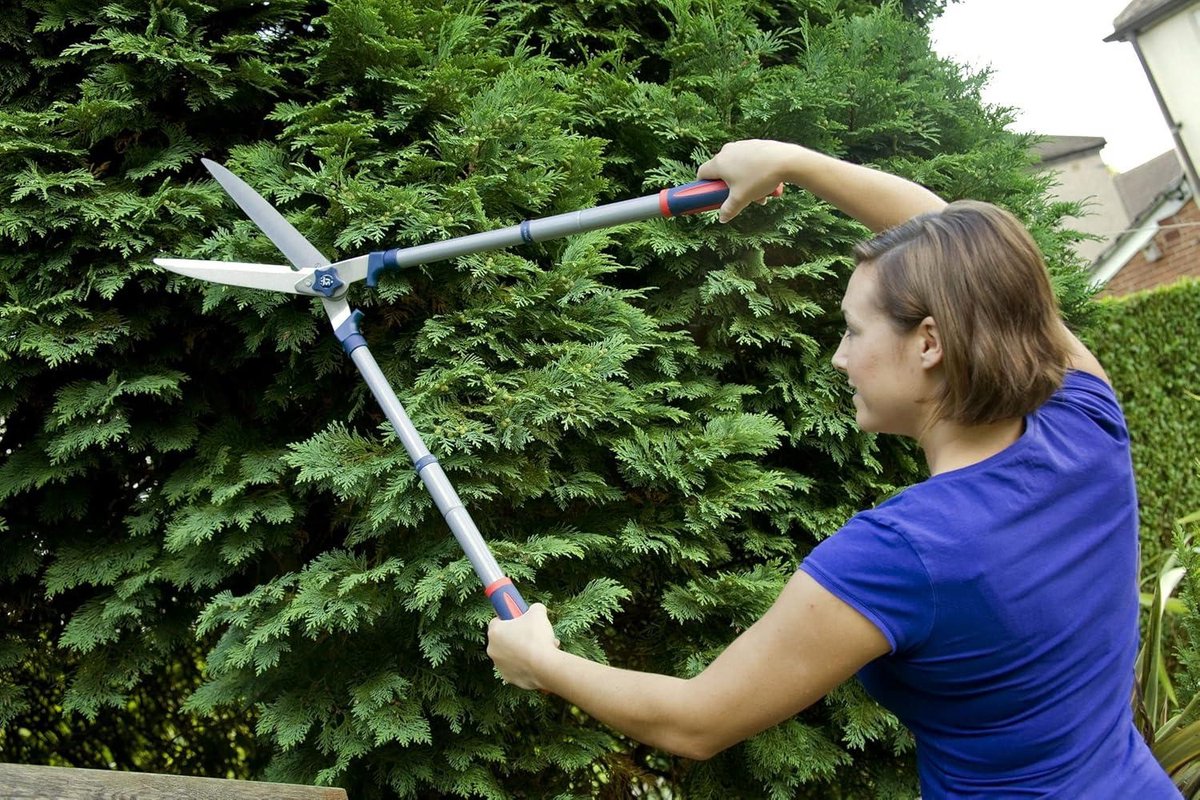 Steel Telescopische schaar - Razorsharp, snoeischaar met lange steel