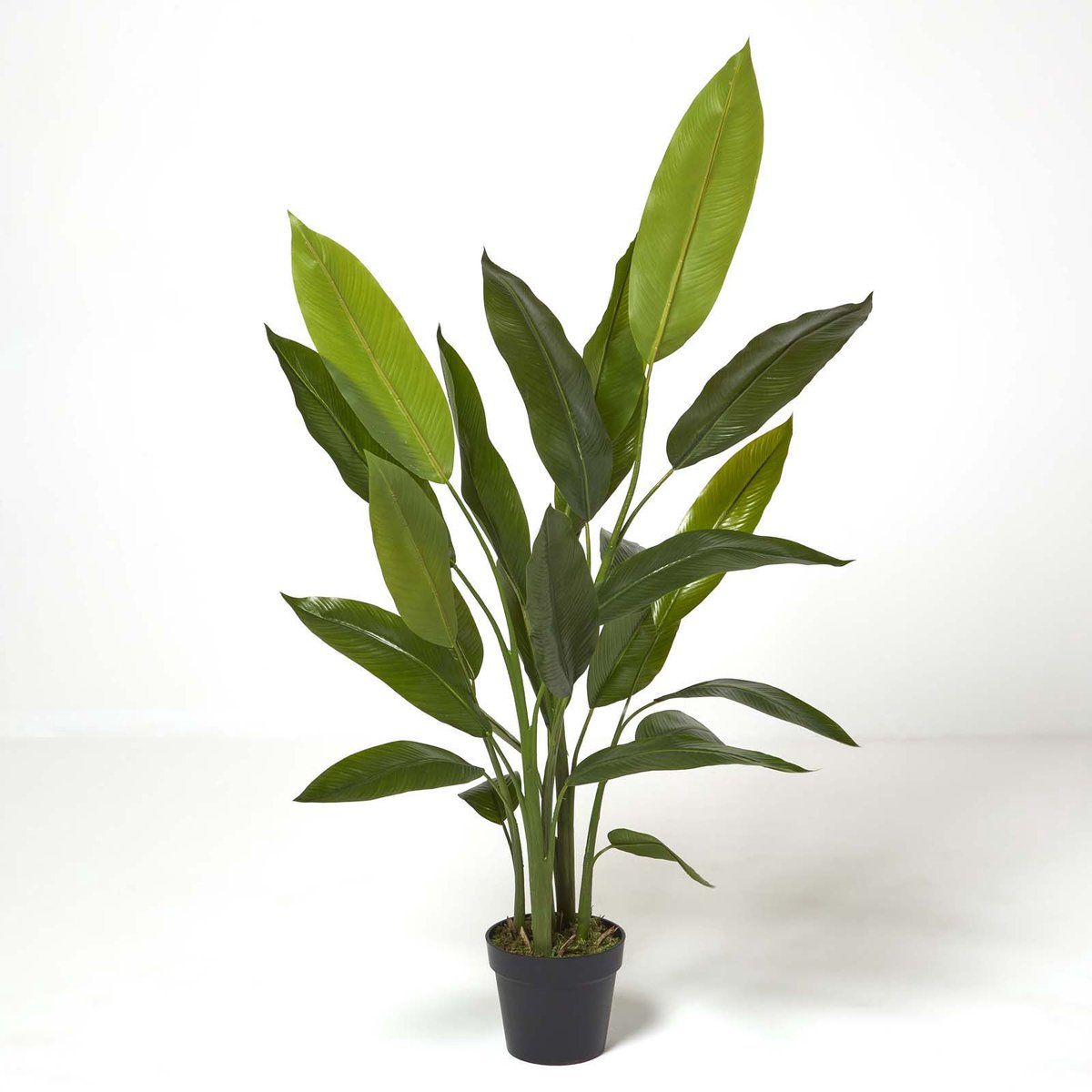 Homescapes Kunstmatige Heliconia in Pot Kreeftklauwplant, 140 cm Groen