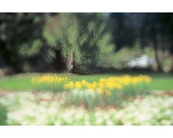 Cokin Filter P093 droom 3