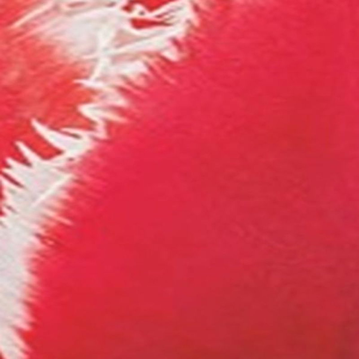 JUB - Tulipa New Santa