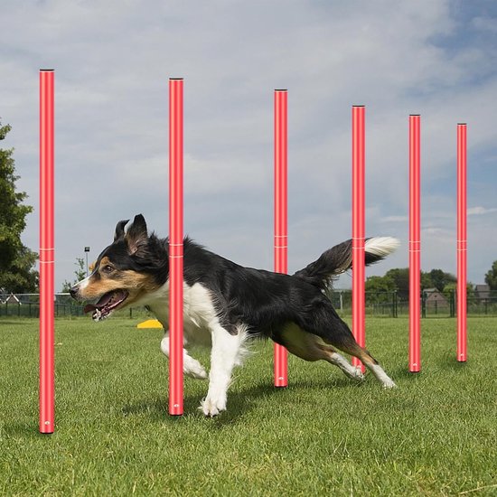 Trainingsbogen für Agility-Training, 10er Set, für Stangen mit ø 32 mm online kaufen - - Alles für den sportlichen Hund