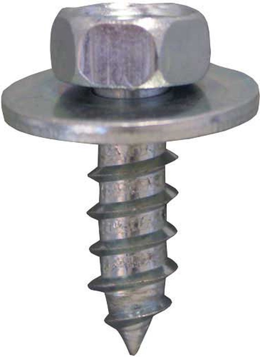 Zeskantplaatbout 6.3x19mm