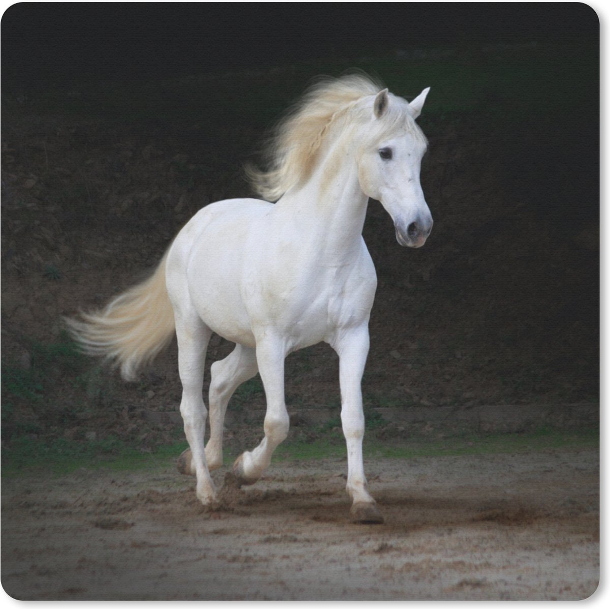 Muismat 20x20 cm - Mousepad Paarden - Zand - Donker - Muismatten