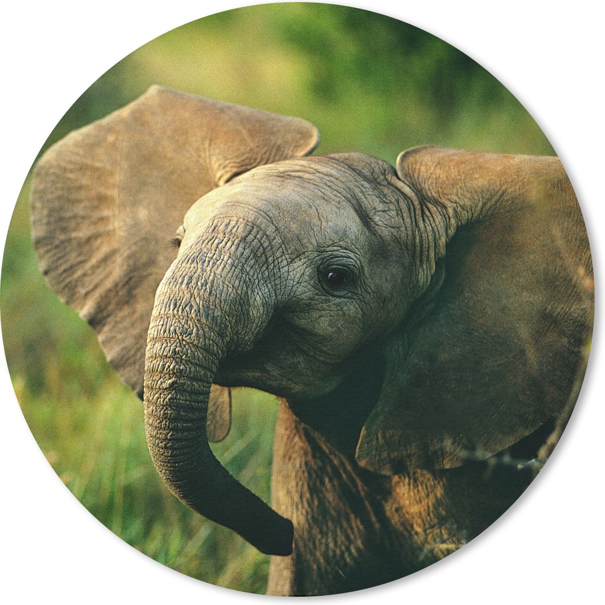 Muismat rond 20x20 cm - Mousepad Olifant - Groen - Dieren - Natuur - Ronde muismatten