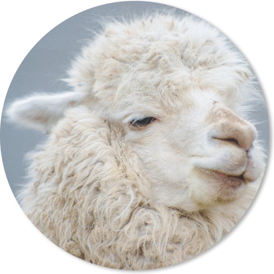 Muismat - Mousepad - Rond - Alpaca - Wol - Wit - 50x50 cm - Ronde muismat