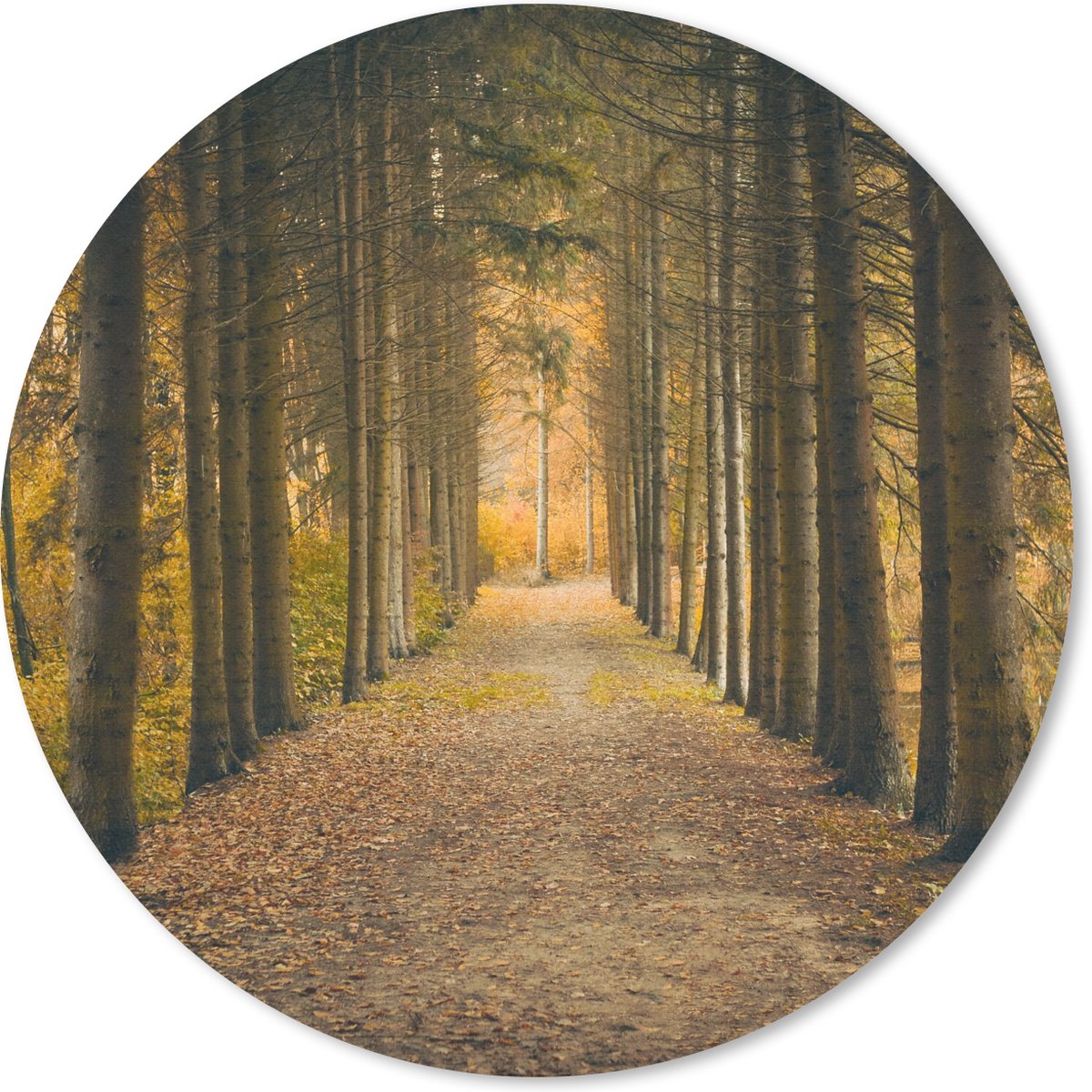 Muismat rond 20x20 cm - Mousepad Pad - Bomen - Bos - Ronde muismatten