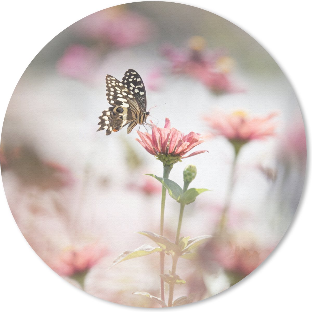 Muismat rond 40x40 cm - Mousepad Vlinder - Bloem - Roze - Ronde muismatten