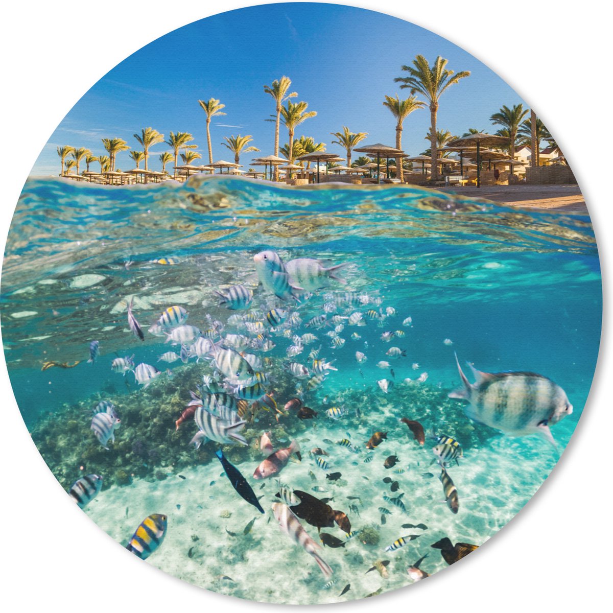 Muismat rond 30x30 cm - Mousepad Zee - Vissen - Egypte - Ronde muismatten