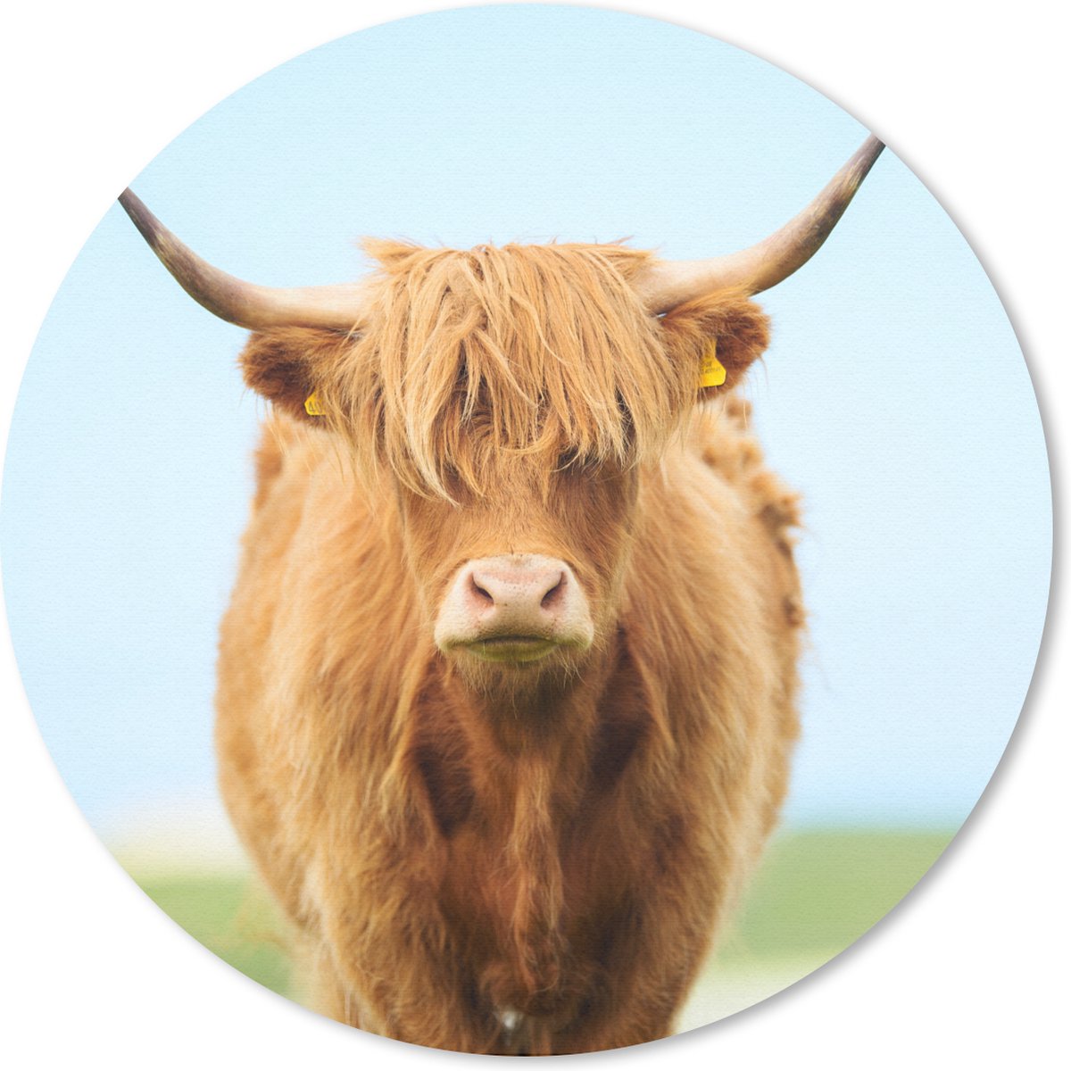 Muismat rond 40x40 cm - Mousepad Schotse hooglander - Haar - Gras - Ronde muismatten