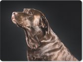 Muismat - Mousepad - Hond - Bruin - Portret - 23x19 cm - Muismatten