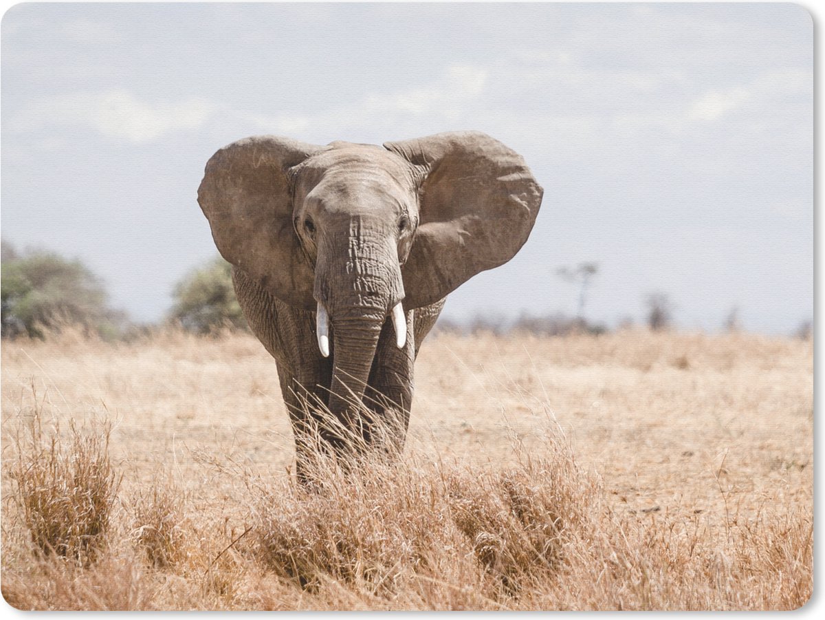 Muismat 23x19 cm - Mousepad Olifant - Natuur - Dieren - Portret - Muismatten