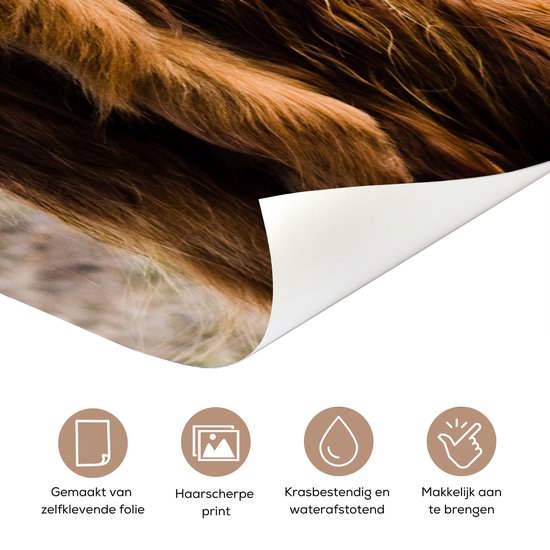 Sticker pour porte Scottish Highlander - Paysage - Vache - Marron - Animaux - Nature - 95x215 cm - Door Poster