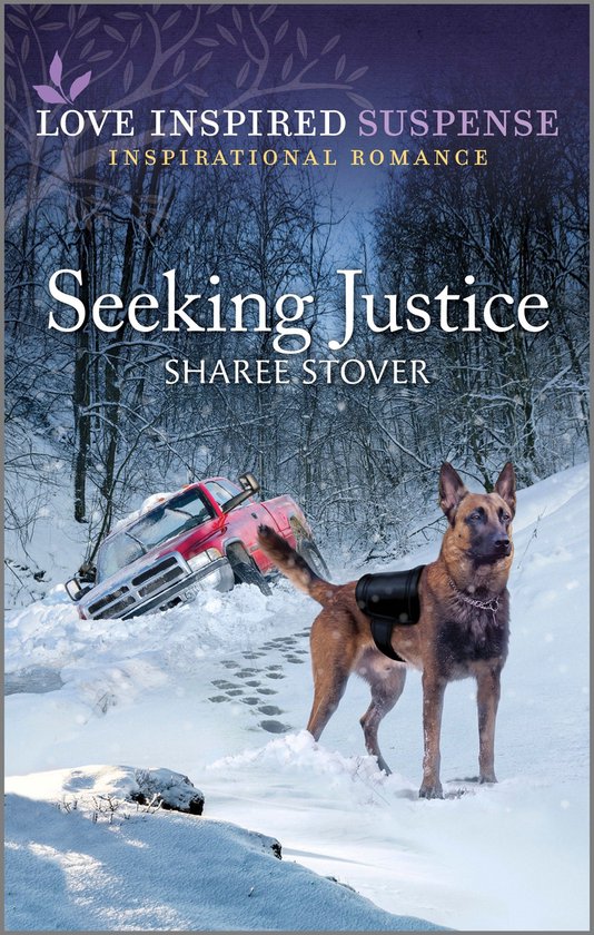 Seeking Justice - cover