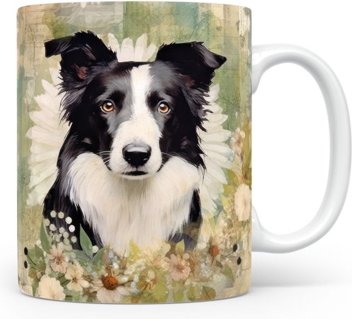 Mok met Border Collie