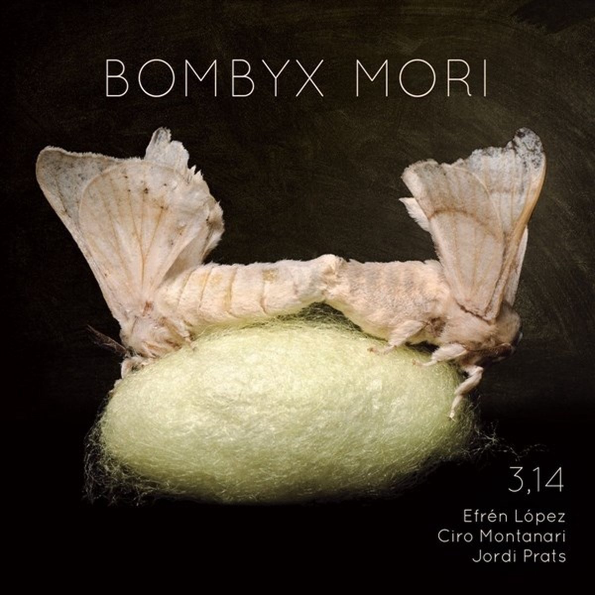 3,14 Feat. Efrén Lépez, Ciro Montanari, Jordi Prats - Bombyx Mori (CD)