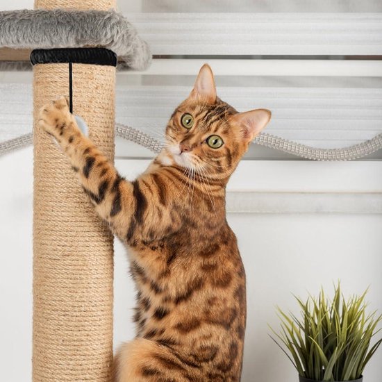 VOVIGGOL 12 stuks 4 cm kattenspeelgoedbal met bel, huisdierspeelgoed kattenbal, kattenspeelgoed met belletje, kattenballen voor kittens jingle ballen, pounce chase (willekeurige kleur VOVIGGOL 12 stuks 4 cm kattenspeelgoedbal met bel, huisdierspeelgoed kattenbal, kattenspeelgoed met belletje, kattenballen voor kittens jingle ballen, pounce chase (willekeurige kleur