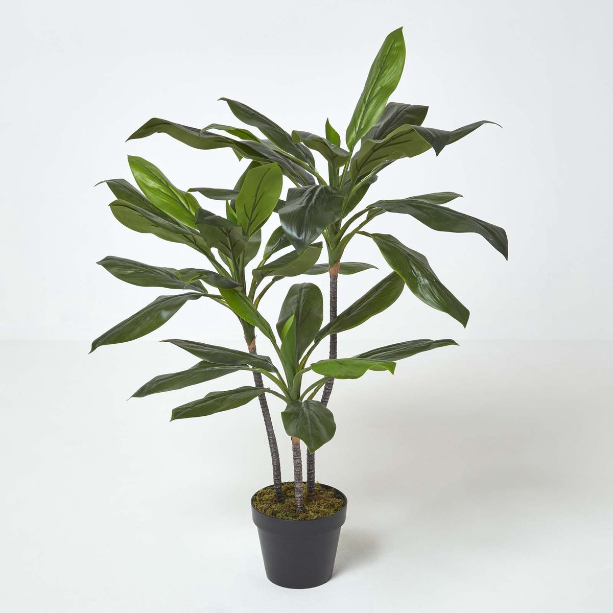 Homescapes Cordyline Fruticosa kunstplant in pot - 100 cm Groen