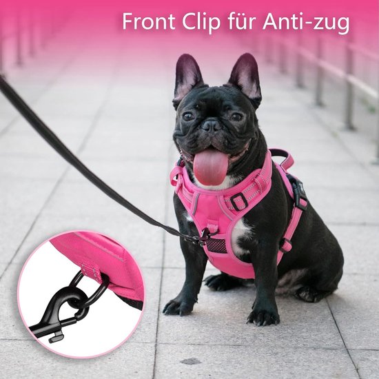 RUFFWEAR Front Range Harnas - Reflecterend Y-Harnas voor Kleine Honden, Verstelbaar, Comfortabel, Gewatteerd voor Dagelijks Gebruik, Anti-Trek, 2 Riembevestigingen en V-Ring