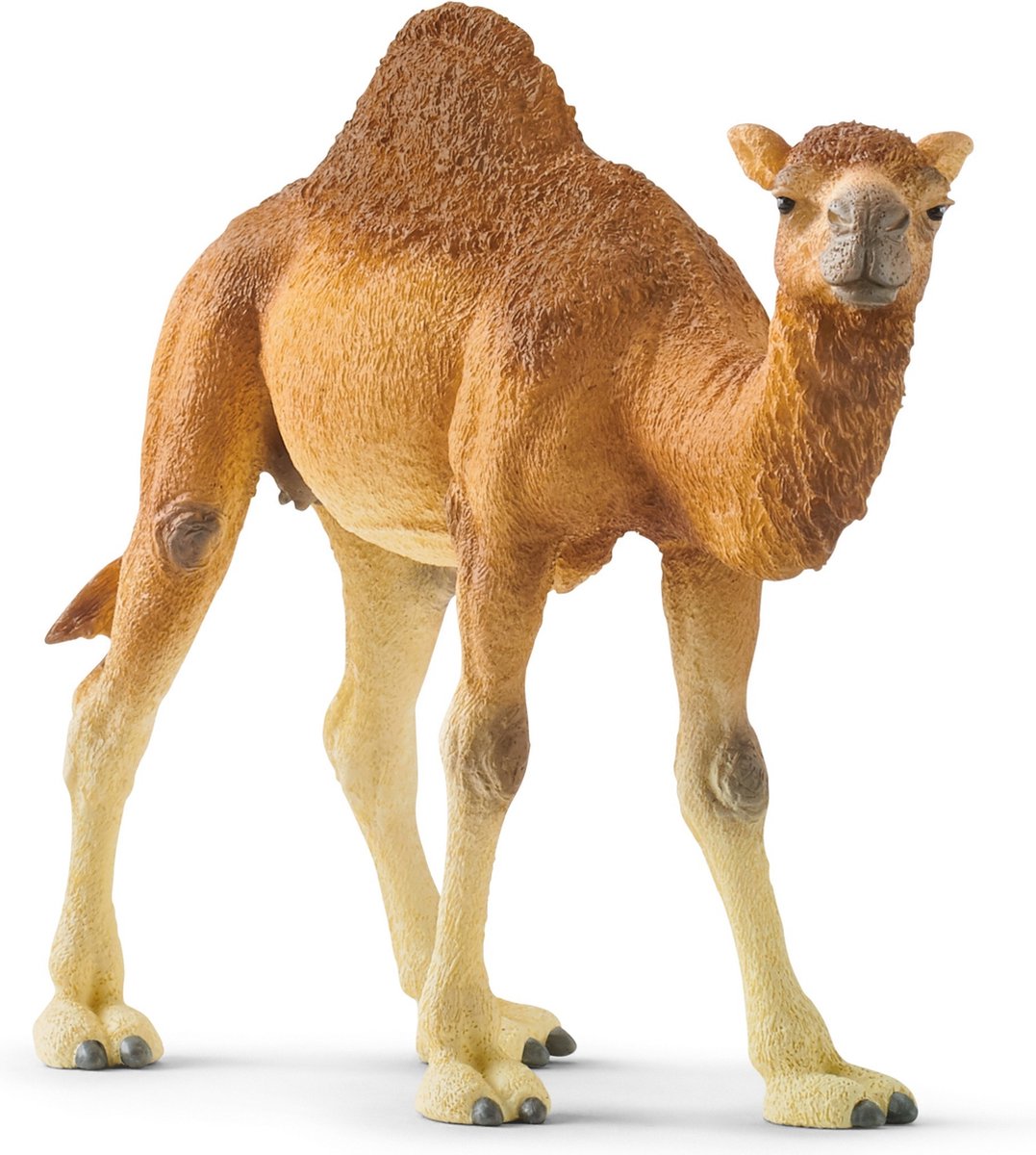 Schleich Wild Life Dromedaris: natuurgetrouw speelfiguur thumbnail 3